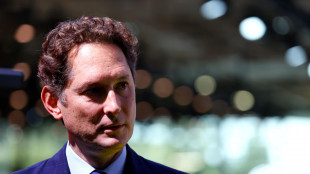 Elkann e De Meo, destino auto europea si gioca quest'anno