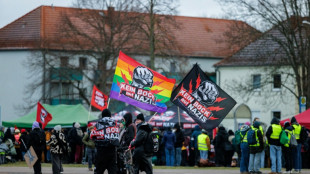 La ultraderecha alemana expone sus planes radicales en v&iacute;speras de las elecciones