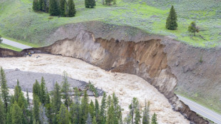 Parts of storm-wrecked Yellowstone to remain shut all year