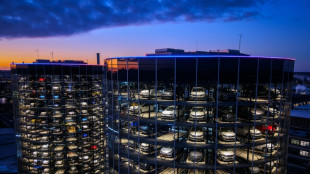 Umfrage: Exporterwartungen der deutschen Unternehmen im November gesunken