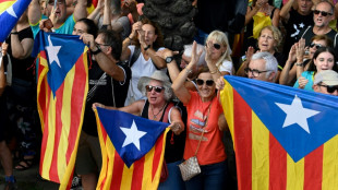 Rebajar la malversación en España, una apuesta arriesgada a un año de las elecciones