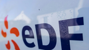 EDF renflou&eacute; par l'Etat pour faire face aux "difficult&eacute;s" de 2022