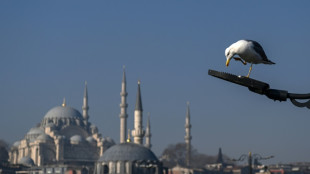 Jogador de futebol amador turco &eacute; tratado como her&oacute;i ap&oacute;s salvar gaivota