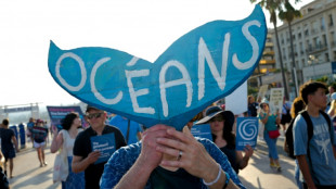 Leaders warn race for minerals could turn seabed into 'wild west'