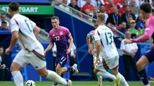 Alemania juega para alimentar la pasi&oacute;n, Croacia se tambalea en la Euro