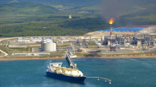 Russland &uuml;bertr&auml;gt &Ouml;l- und Gasprojekt Sachalin-2 an neue Firma 