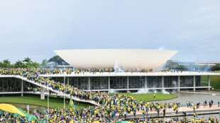 Erster Prozess wegen Sturms auf Regierungsviertel in Brasilien begonnen