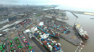 Termina protesto que deixou mais de 150 navios parados em portos argentinos