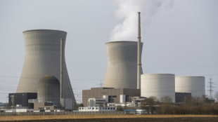 Energiekonzerne finden Atomdebatte r&uuml;ckw&auml;rtsgewandt und fordern Fokus auf Gas