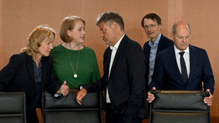 Habeck sieht in Blockade von Paus im Kabinett "kein Glanzst&uuml;ck"