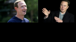 El eventual combate entre Musk y Zuckerberg ser&aacute; transmitido por  X (ex Twitter)