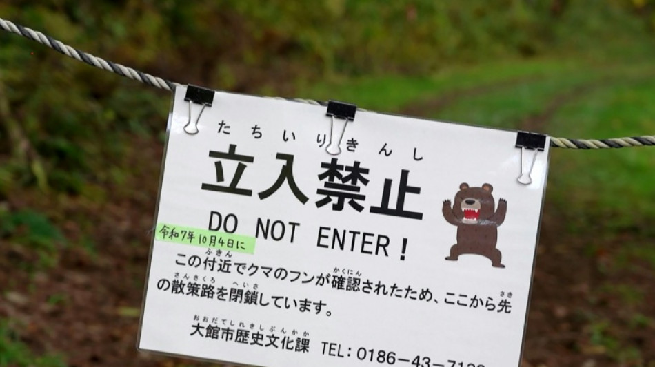 Japan town retracts latest AI bear image