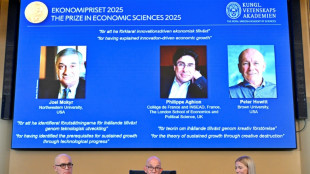 Un ganador del Nobel de Economía advierte sobre los riesgos de la IA