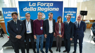 Salvini, modifica sui mandati possibile entro l'autunno
