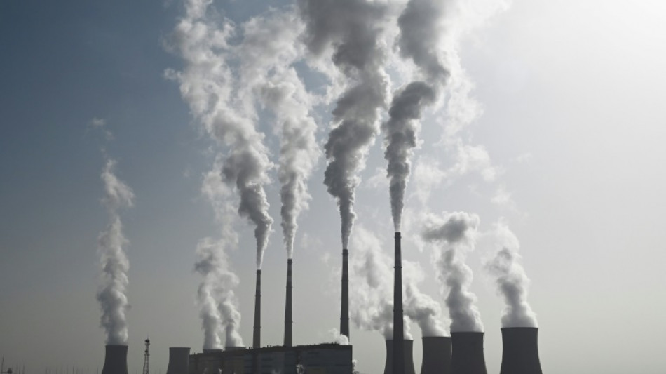 Greenpeace: China beschleunigt trotz Klimazusagen Genehmigungen f&uuml;r Kohlekraftwerke