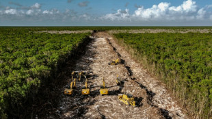 PIB de México crece 1,6% interanual en primer trimestre