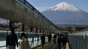 Japan meldet Rekordzahl von 3,91 Millionen ausl&auml;ndischen Touristen im April