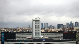 Israel niega la entrada a su territorio a una periodista francesa