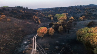 Espanha suspende estado de emerg&ecirc;ncia por inc&ecirc;ndios perto de Madri