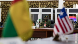 Westafrikanische Delegation im Niger eingetroffen