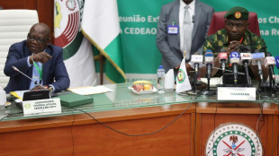 Russland ruft zum "nationalen Dialog" im Niger auf 