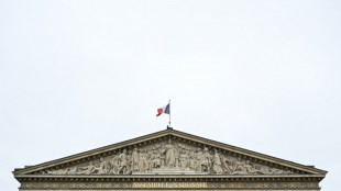 Le Parlement allonge la dur&eacute;e de r&eacute;tention des &eacute;trangers jug&eacute;s dangereux