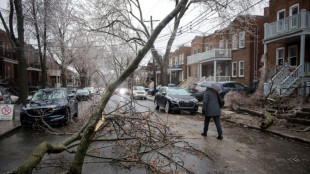Cientos de miles de hogares sin electricidad en este de Canad&aacute; tras tormenta de hielo