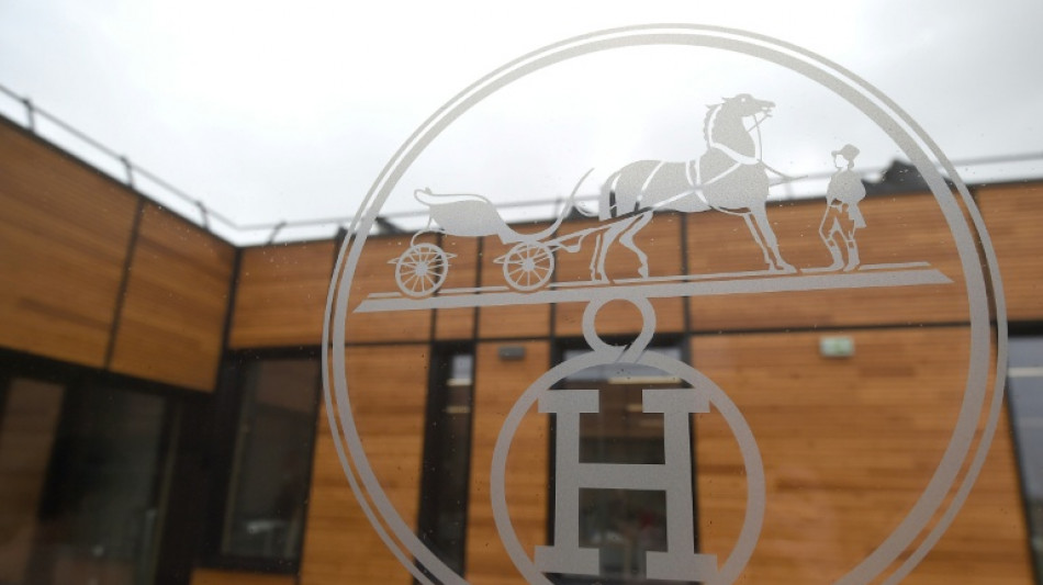 Hermes sales rise despite US tariffs, currency headwinds