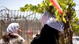 "Comme un rêve": sur le plateau du Golan, des retrouvailles entre druzes israéliens et syriens