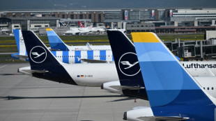 Vorsitzende des Tourismusausschusses: Preise f&uuml;r Flugtickets werden weiter steigen