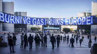 Striscione Greenpeace su Europarlamento, 'bruciare gas rovina Europa'