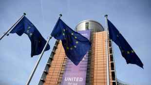 Trotz Protest Frankreichs: Br&uuml;ssel will Mercosur-Abkommen dieses Jahr abschlie&szlig;en