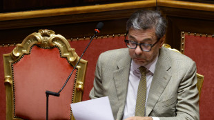 Giorgetti, manovra delineata, venerdì i particolari