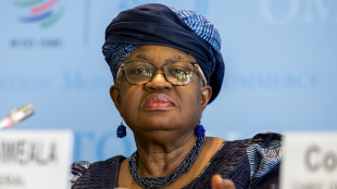 Il Wto a Davos, situazione globale richiede nervi saldi e reazioni meditate