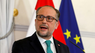 Ministro das Rela&ccedil;&otilde;es Exteriores da &Aacute;ustria ocupar&aacute; temporariamente o cargo de chefe de governo