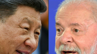 Xi pide a Lula que China y Brasil defiendan el "rol central" de la ONU