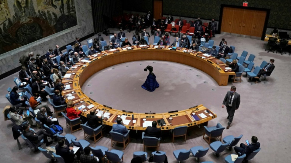 'The foxes are guarding the hen house': Russia's war highlights UN impotence