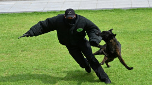 Polizeihunde sp&uuml;ren Fl&uuml;chtigen nach rasanter Verfolgungsjagd auf