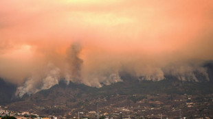 Feuerwehr k&auml;mpft weiter gegen Waldbrand auf Teneriffa