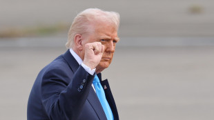 Trump evoca truppe Usa o raid aerei in Nigeria ++