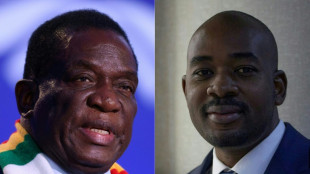 Pr&auml;sidenten- und Parlamentswahl in Simbabwe