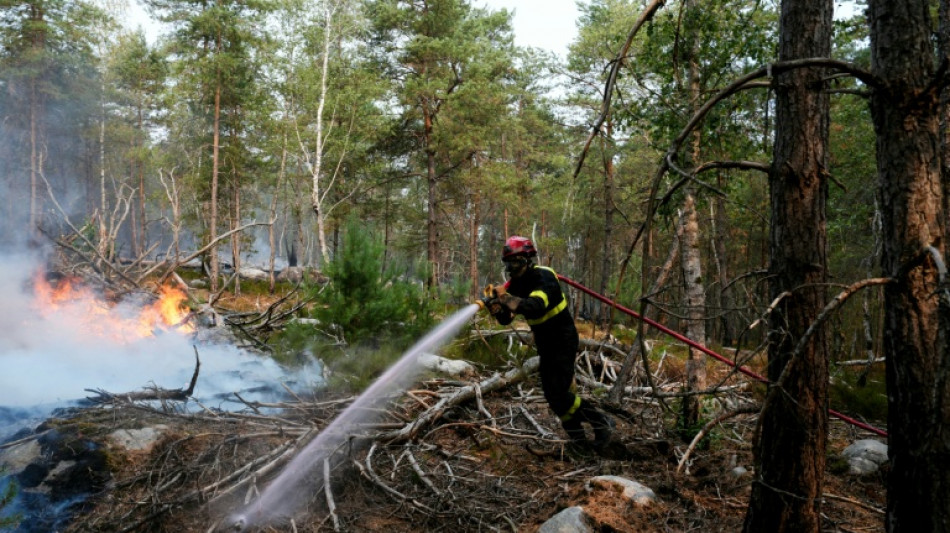 Un homme en garde &agrave; vue pour une tentative d'incendie mardi soir pr&egrave;s de la for&ecirc;t de Fontainebleau