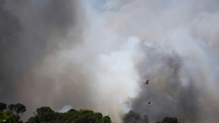 Un feu de for&ecirc;t fait au moins 11 morts pr&egrave;s d'Almeria, dans le sud de l'Espagne