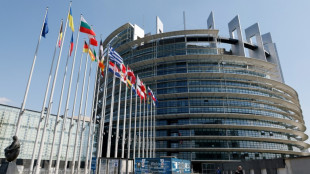 Feu vert des eurod&eacute;put&eacute;s aux nouvelles r&egrave;gles de l'UE pour le num&eacute;rique