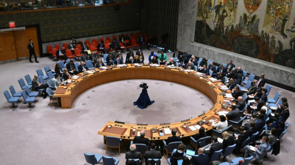 La demande d'adhésion des Palestiniens à l'ONU face au couperet du Conseil de sécurité