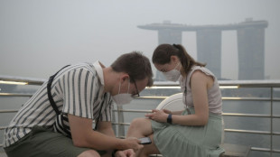 Hautement pollu&eacute;e, Singapour veut agir contre les entreprises li&eacute;es aux incendies