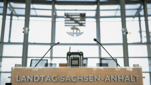 Sachsen-Anhalt: AfD und BSW setzen gemeinsamen Antrag gegen Ukraine-Hilfen durch
