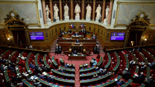 Budget rectificatif: coup d'envoi des d&eacute;bats au S&eacute;nat