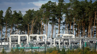 La Russie ne livrera plus ni p&eacute;trole ni gaz si les prix sont plafonn&eacute;s, pr&eacute;vient Poutine