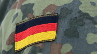 H&ouml;gl: Lehren aus Afghanistan-Abzug f&uuml;r Einsatz in Mali ziehen